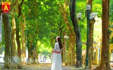 [ẢNH] Thiếu nữ thướt tha với tà áo dài trong sắc thu Hà Nội